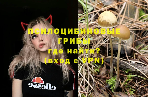 марки lsd Пестово