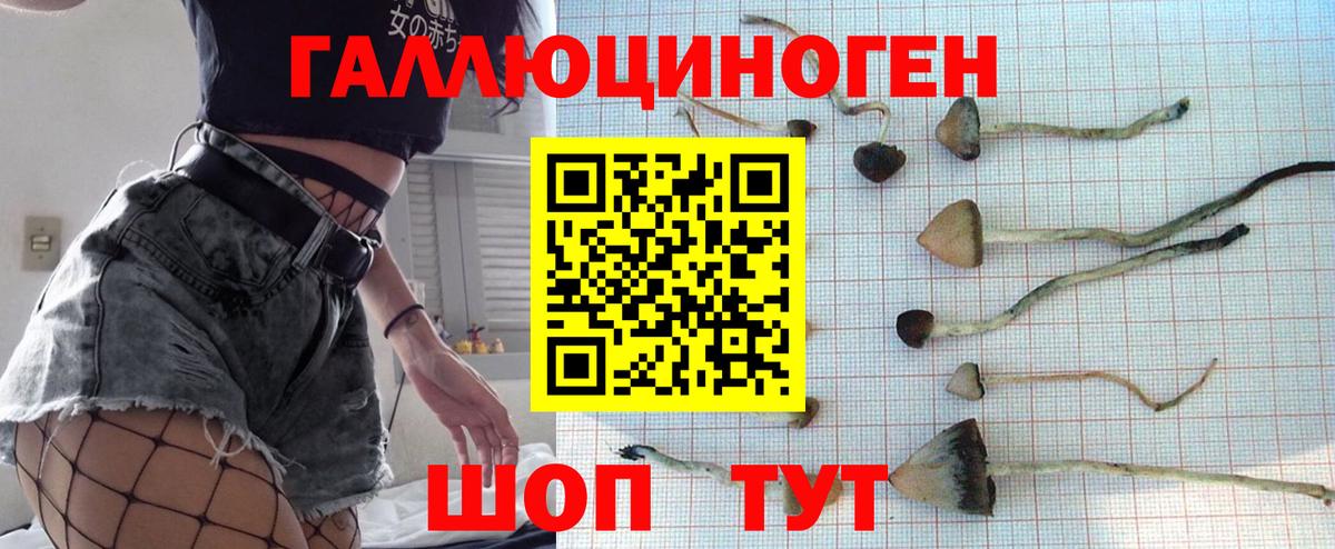 Галлюциногенные грибы мицелий  Псилоцибиновые грибы Psilocybe  Калач-на-Дону  Вход с VPN 