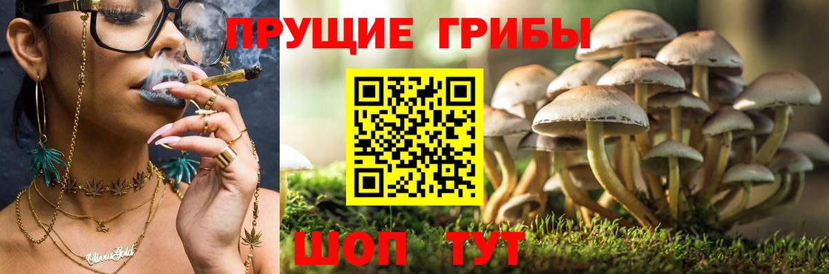 Бошки Шишки Калач-на-Дону
